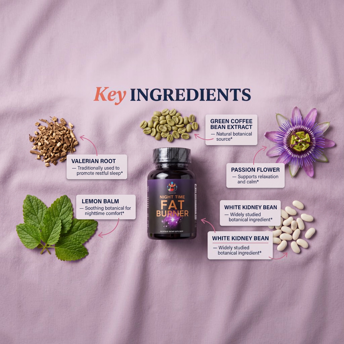 Night Time Wellness | Suplemento Nocturno Premium